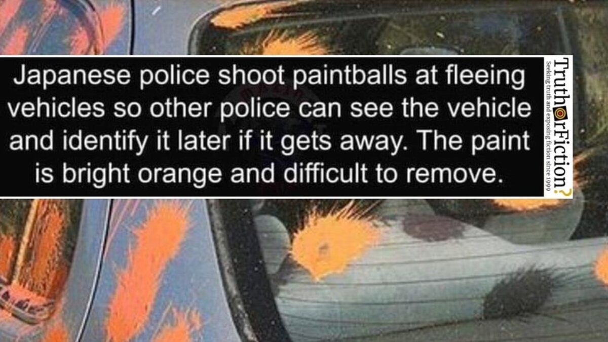 Anti-Crime Balls: Bags of Paint to Throw at Criminals