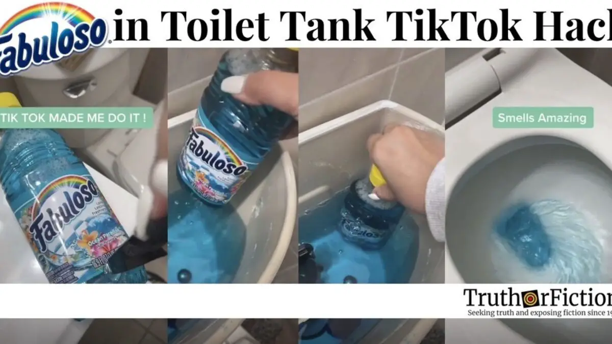 Fabuloso Isn't Just a Forbidden Drink — It's Also a TikTok Toilet Hack