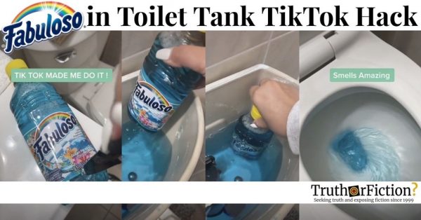 Fabuloso In Toilet Tank Tiktok