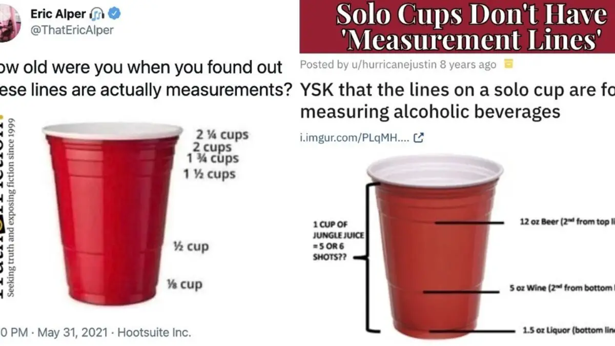 Solo Cup  Know Your Meme