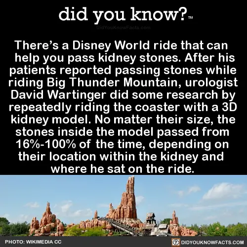 big thunder mountain kidney stones meme