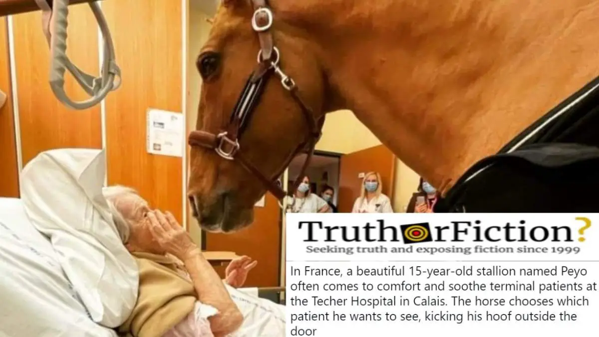 Peyo Truth or Fiction?