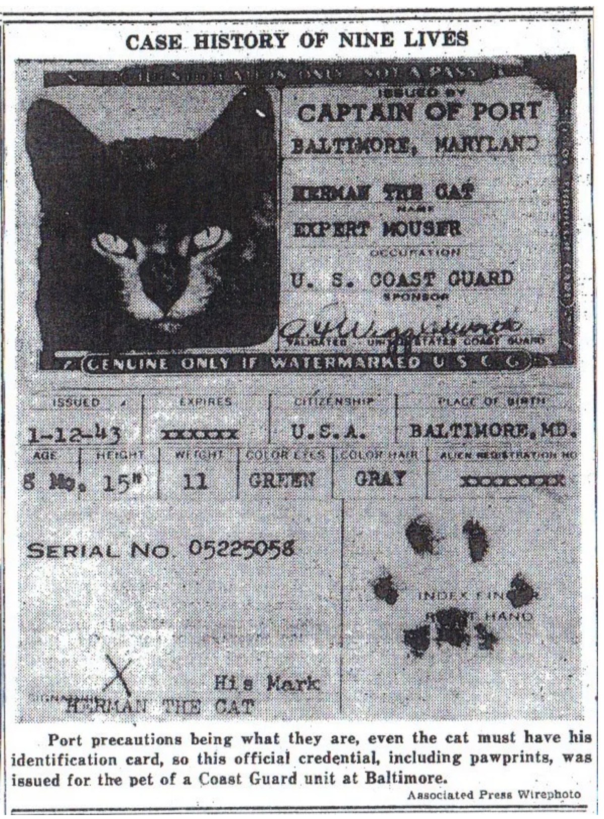 sea cats passport herman the cat