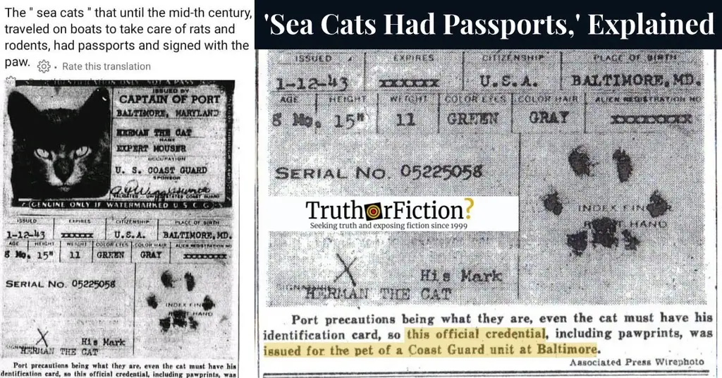 Sea Cats and Passports