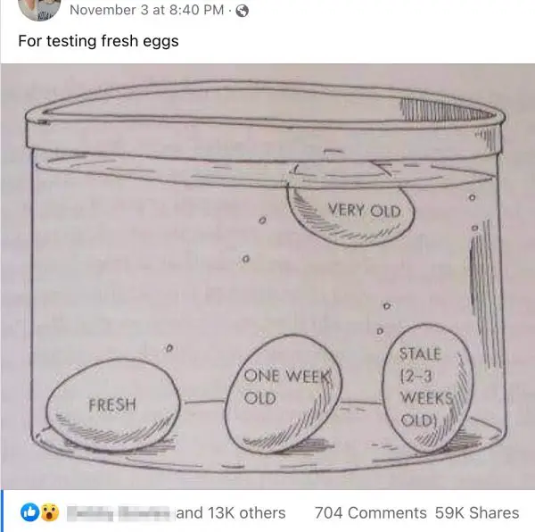 Egg 'Sink or Float' Test Truth or Fiction?