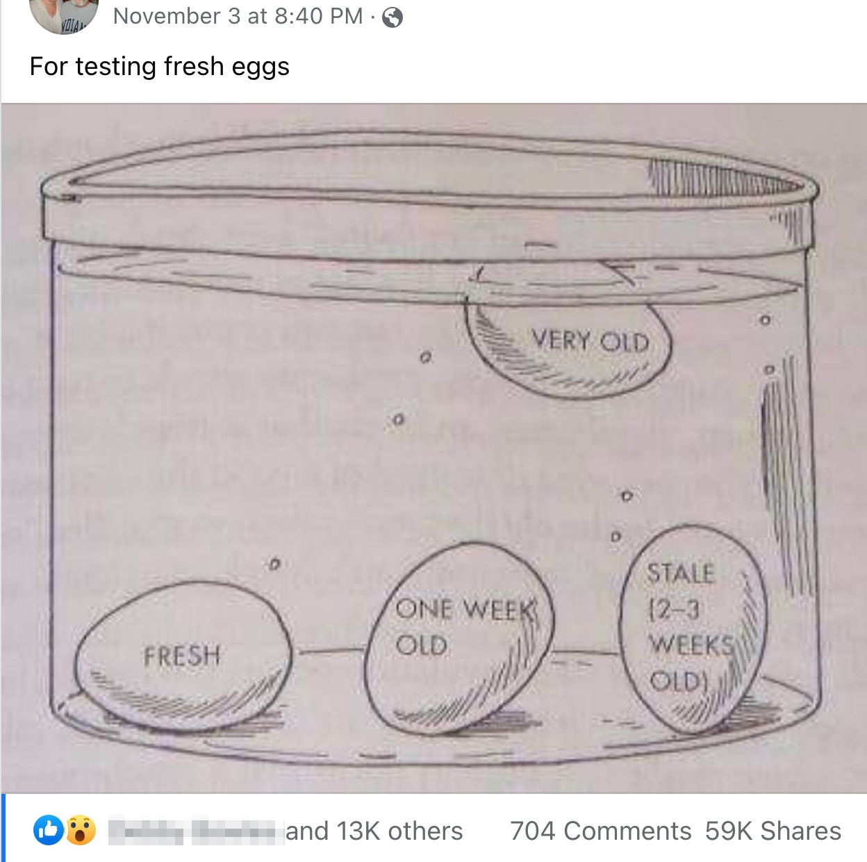 fresh egg float test
