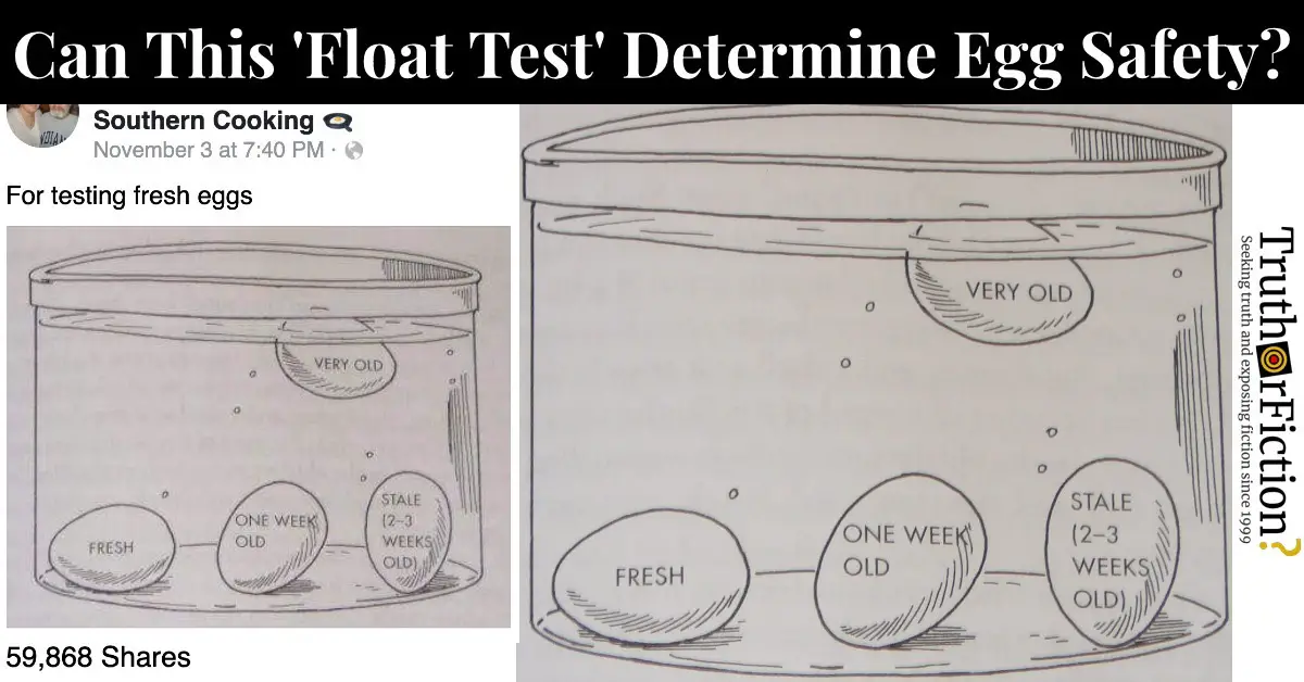 Egg ‘Sink or Float’ Test