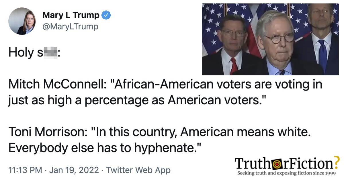 Sen. Mitch McConnell: ‘African-American Voters Are Voting in Just as High a Percentage as Americans’