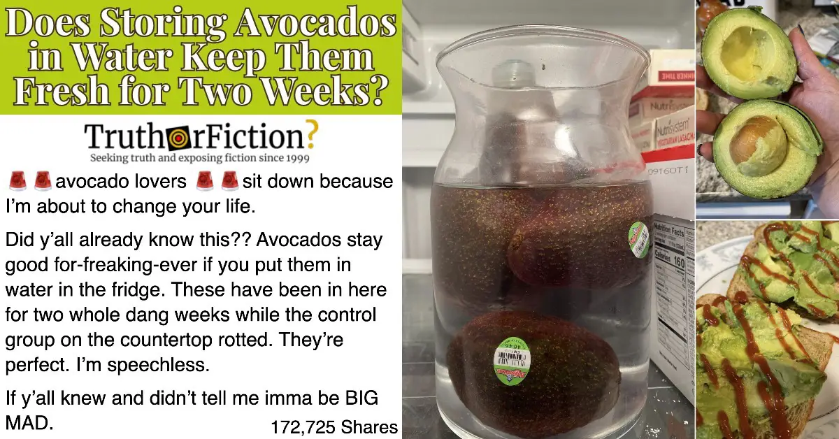 ‘Store Avocados in Water’ Post