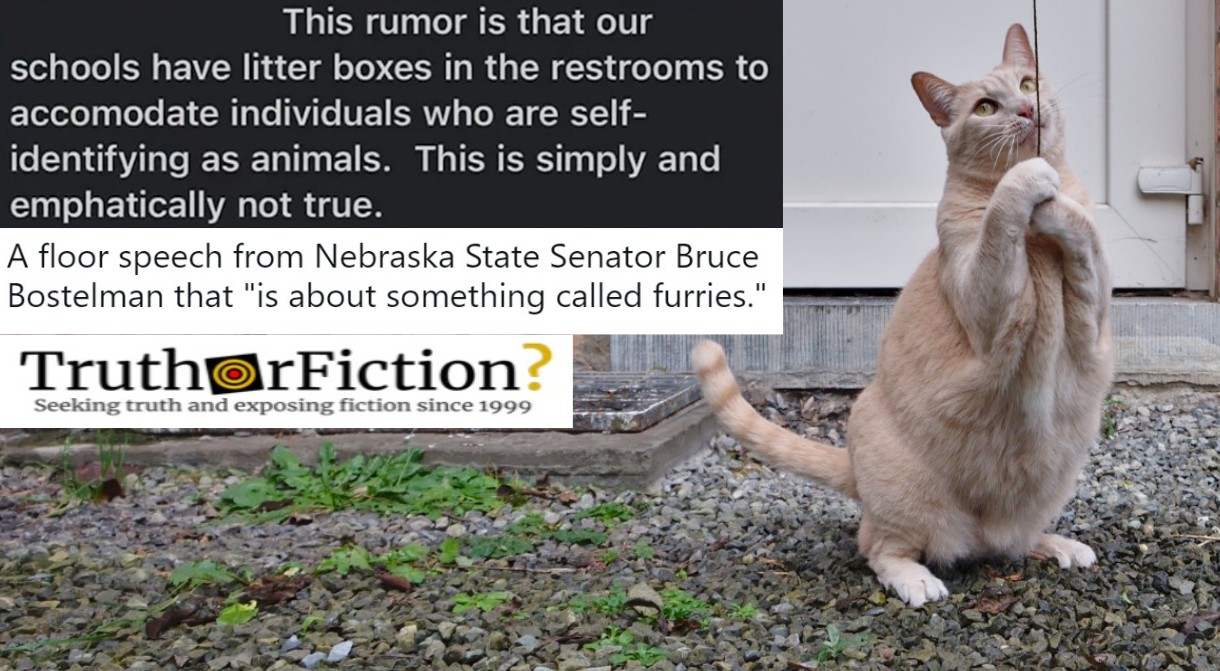 Right-Wing Lawmakers Take Up Spreading Fake ‘Students Identify as Cats’ Rumors