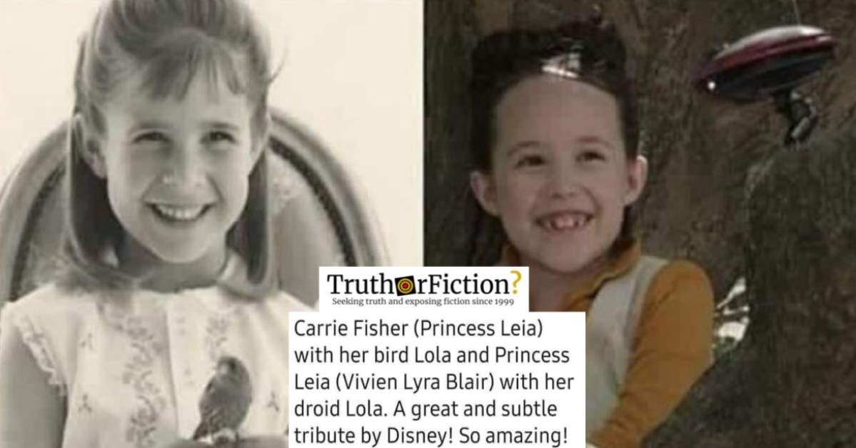 Was Princess Leia’s Droid Named After Carrie Fisher’s Bird?