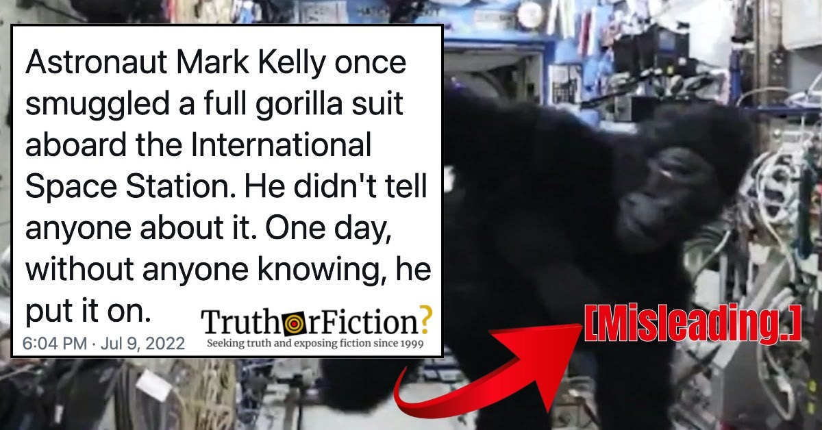 ‘Astronaut Mark Kelly Once Smuggled a Full Gorilla Suit Aboard the International Space Station …’