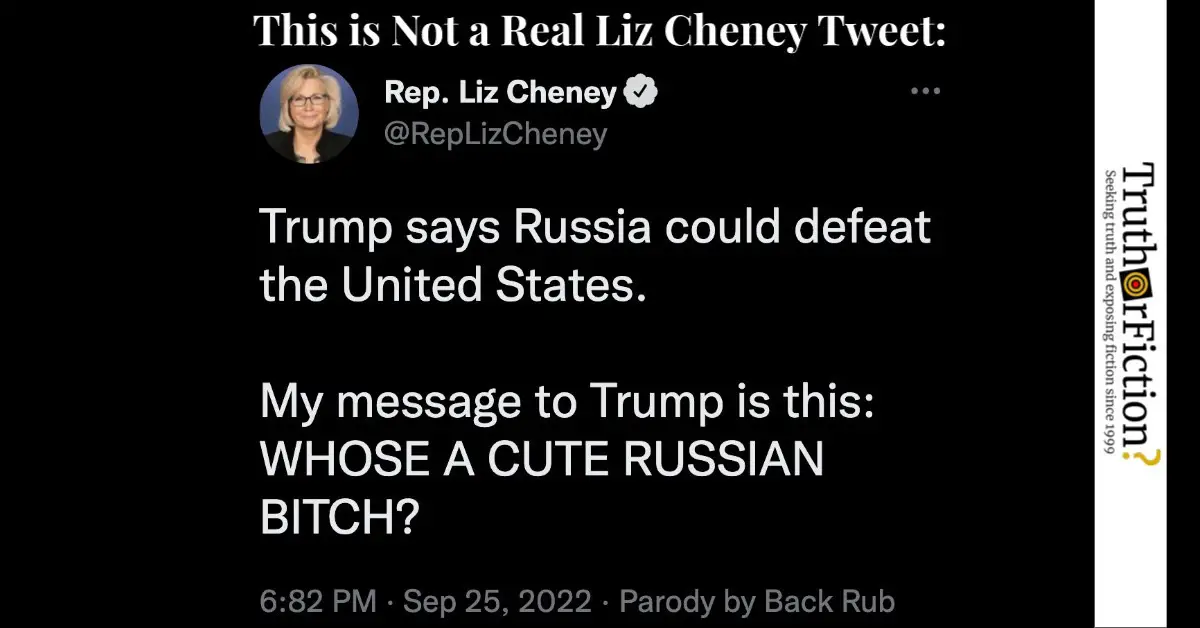 Rep. Liz Cheney ‘Message to Trump’ Tweet