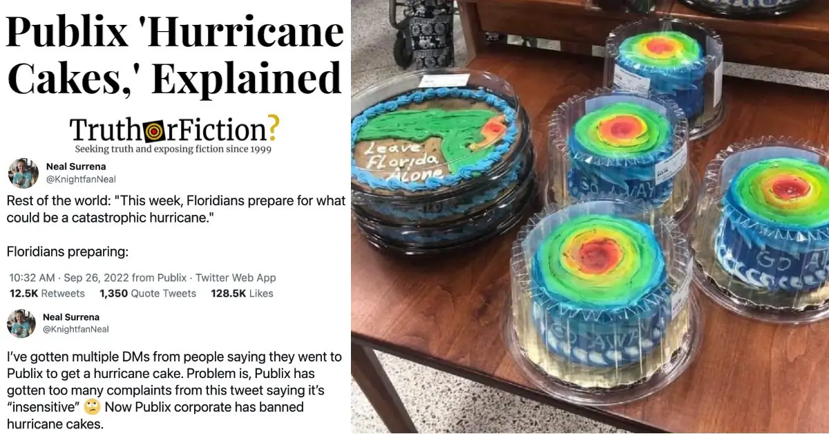 Publix Hurricane Cake (Ian Edition)