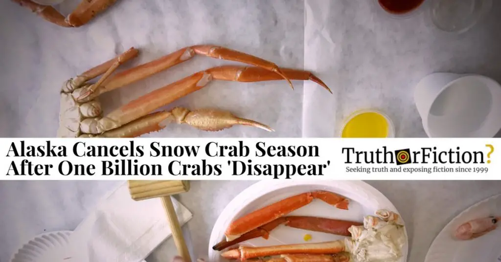 Alaska Snow Crab Season Canceled Truth or Fiction?