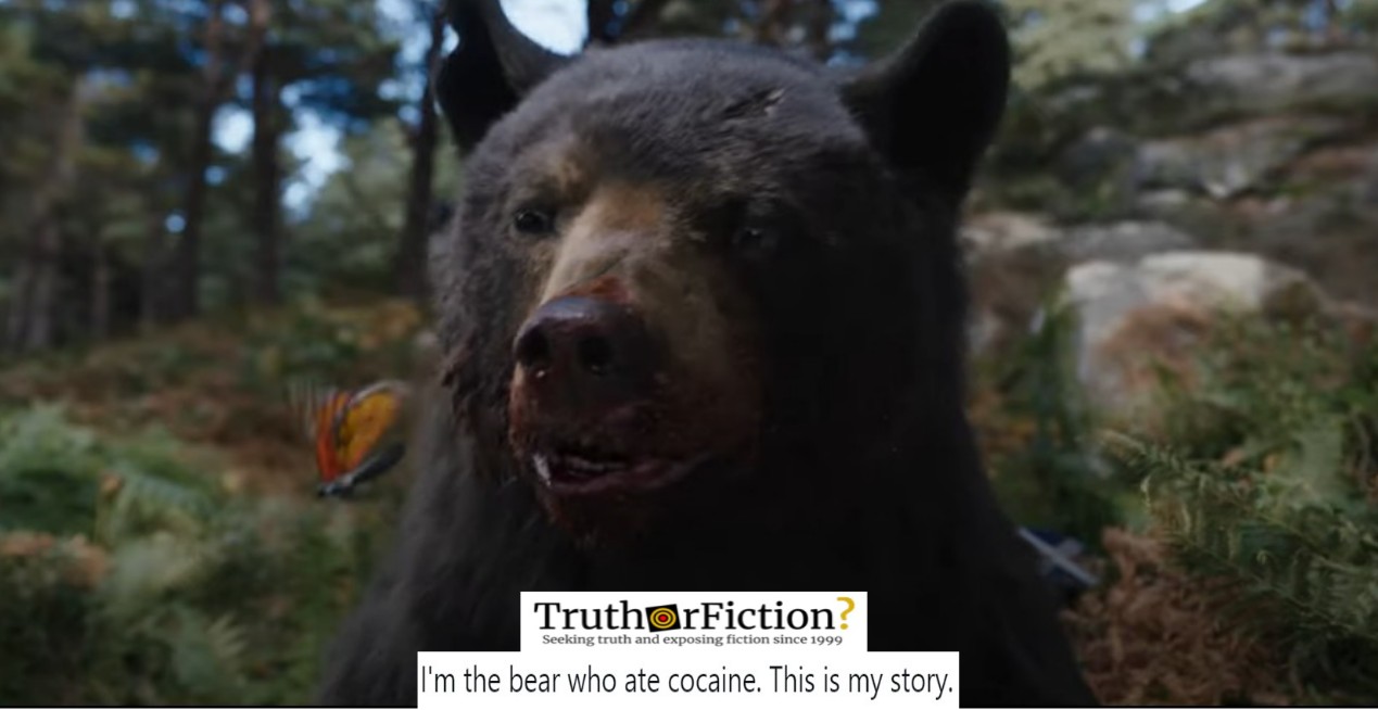 New Movie Revives the Unlikely Legend of Kentucky’s ‘Cocaine Bear’