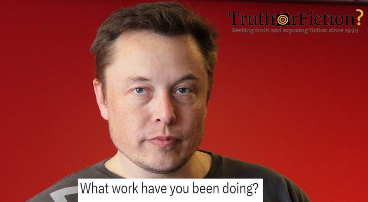 Elon Musk Apologizes After Mocking Disabled Twitter Worker