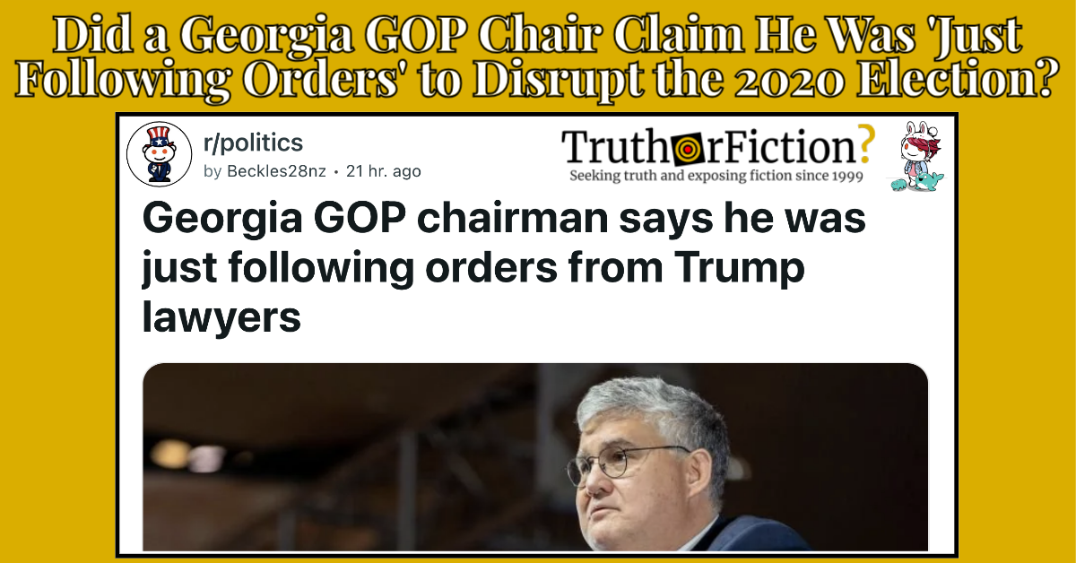 Georgia GOP Chair ‘Just Following Orders’ Defense