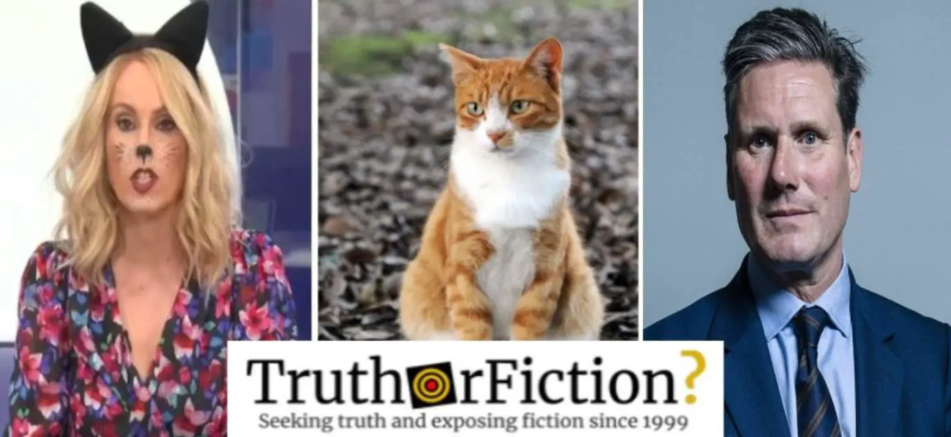 British Media Further Spreads Myth About ‘Students Identifying as Cats’