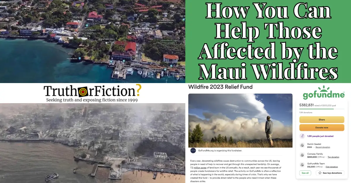 Maui Fires: How to Help