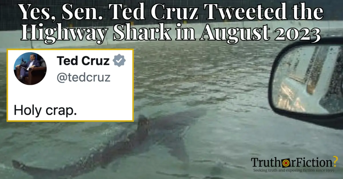Ted Cruz ‘Highway Shark’ Tweet